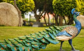 簡述城市雕塑的紀(jì)念性、裝飾性和標(biāo)志性